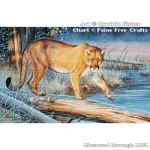(image for) Cougar